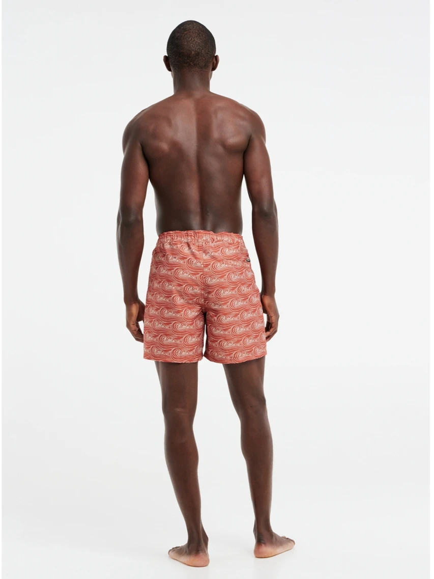 Protest PRTTERTON BEACHSHORT 10683397 8 Protest PRTTERTON BEACHSHORT 10683397 – Bild 8