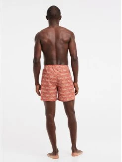 Protest PRTTERTON BEACHSHORT 10683397 20 Protest PRTTERTON BEACHSHORT 10683397 -Woehrl Populaire Boutique 2711931 368 model back full 01 web